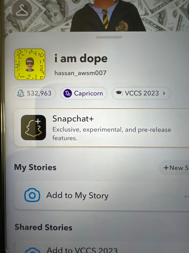 Working on a snapchat bot