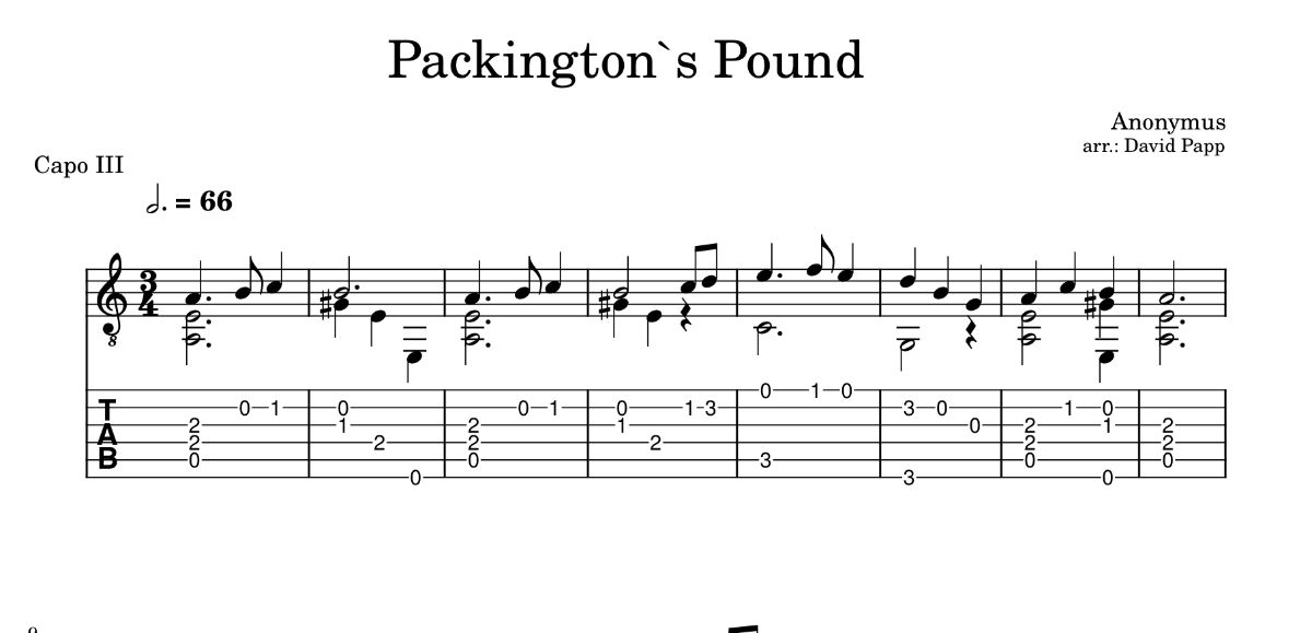 Packington`s Pound