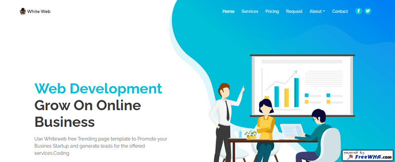Whiteweb FrontEnd Developer 