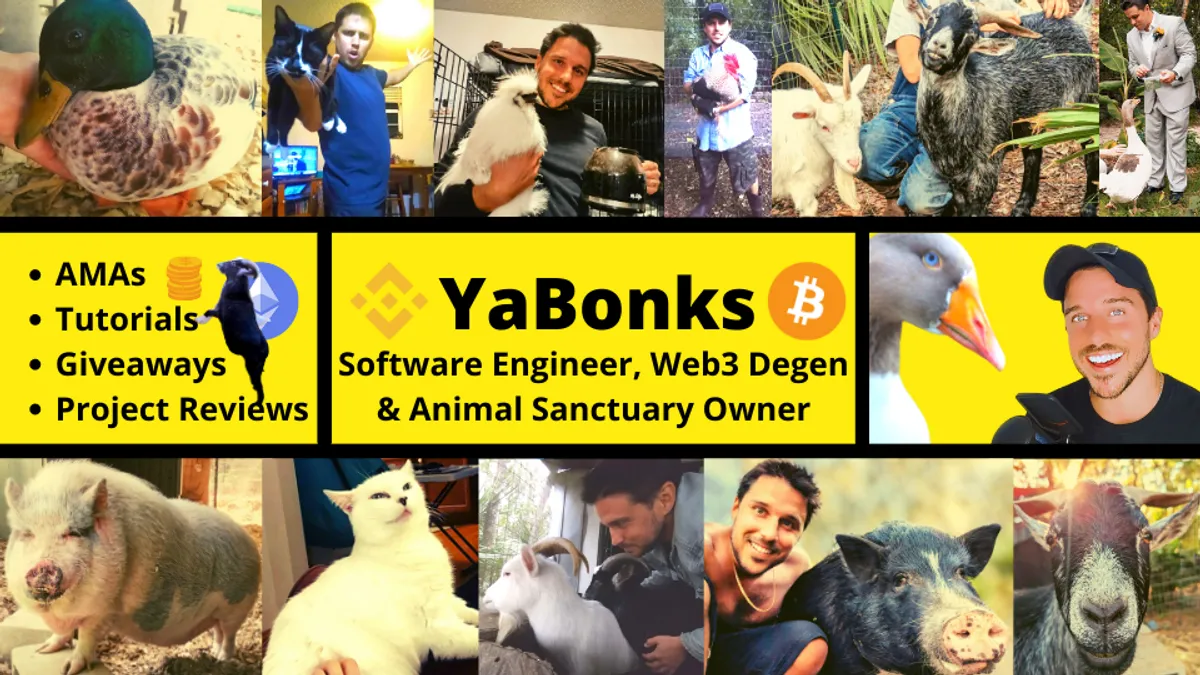 YaBonks is creating YouTube videos about crypto and DeFi and rescuing  animals.