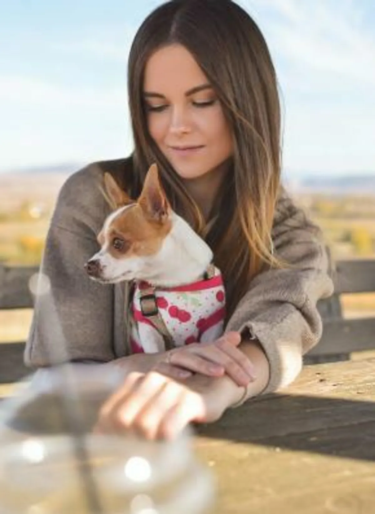 the-importance-of-emotional-support-animal-psychologist-certified