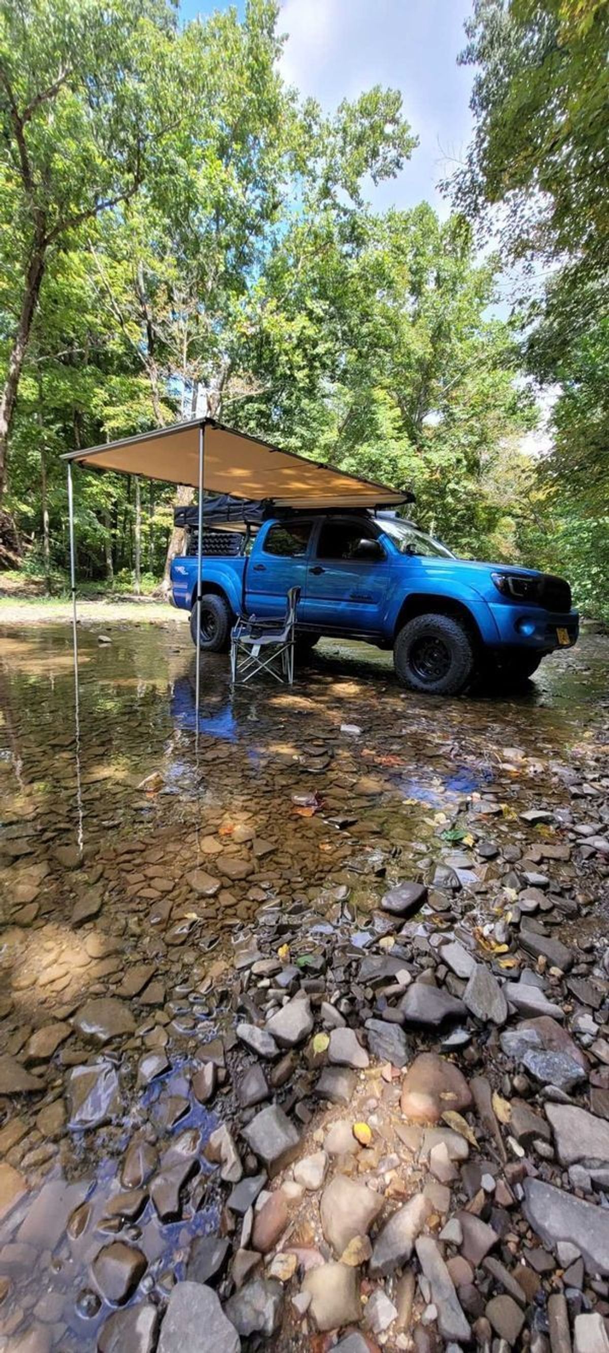 Steve Ashley