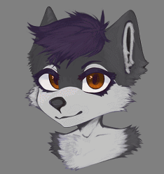 Racoon Pngtuber + Timelapse!
