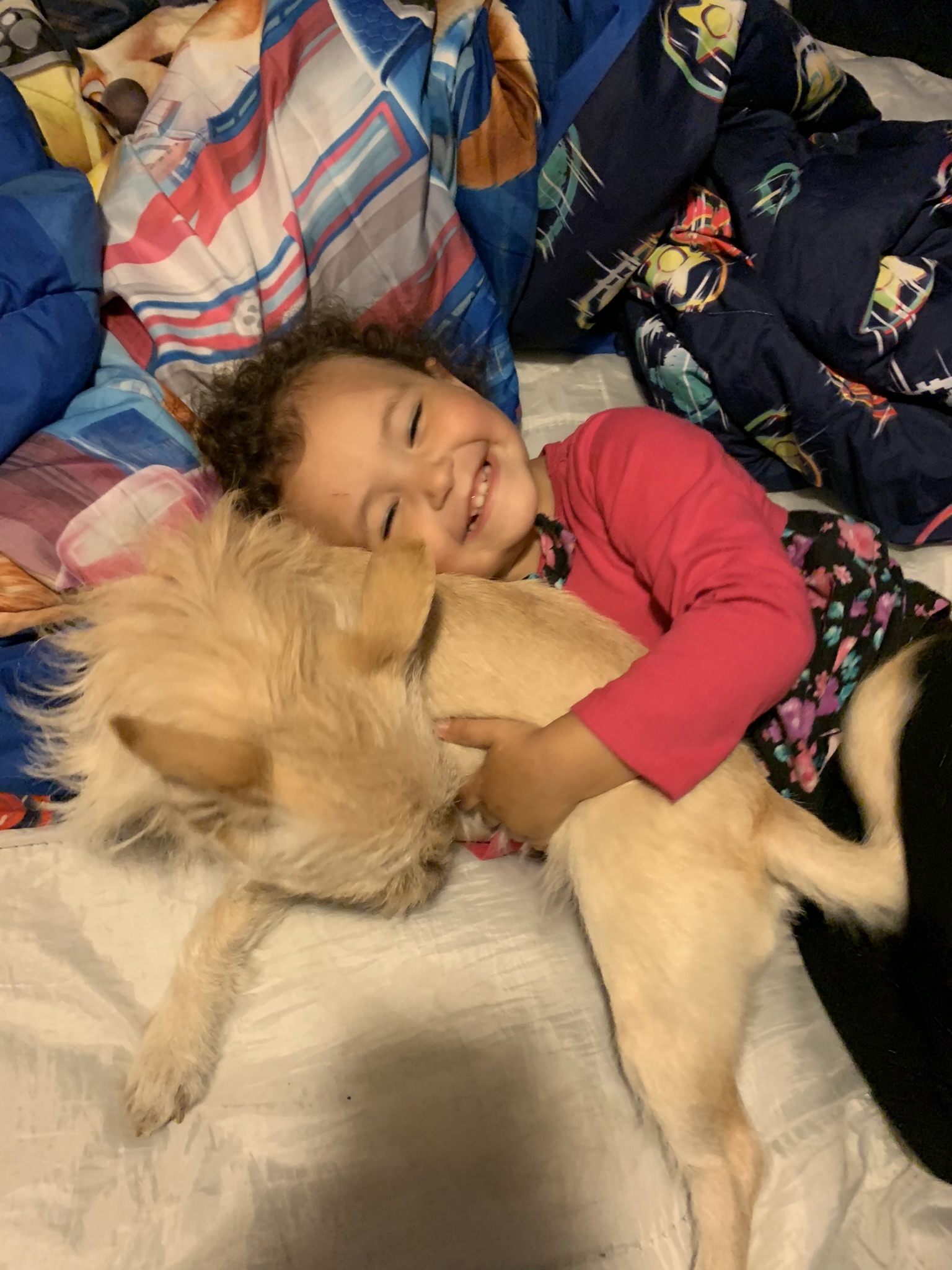Next gen animal lover!🥰 — FurrytailsAnna Scott
