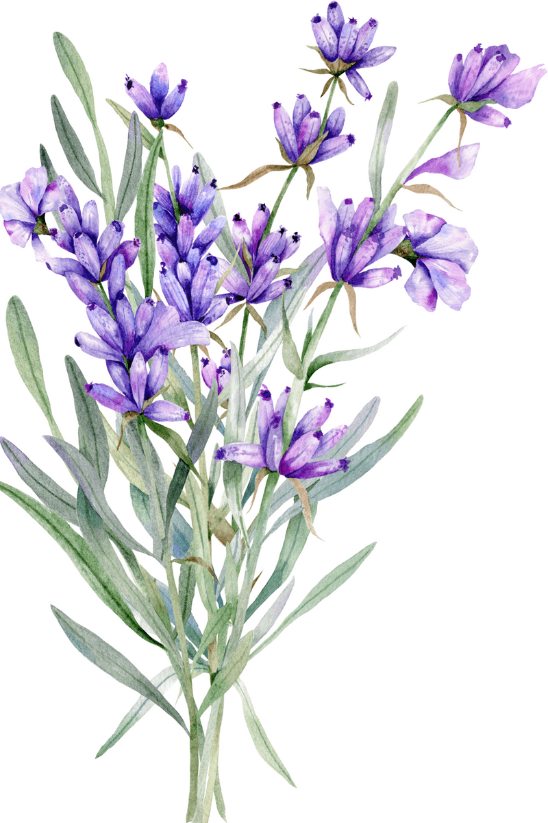Violet Floral Watercolor Portrait Painting 