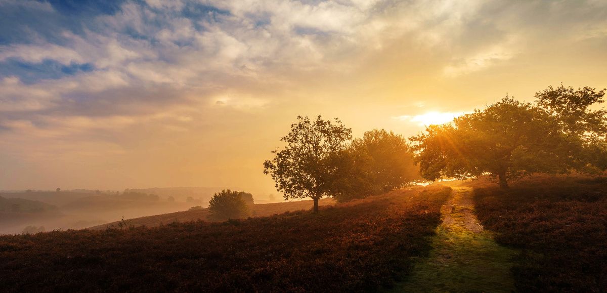 Landscape wallpaper HD - Free