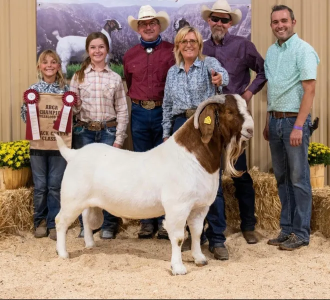 Boer Goat Winners — Heather Wilson