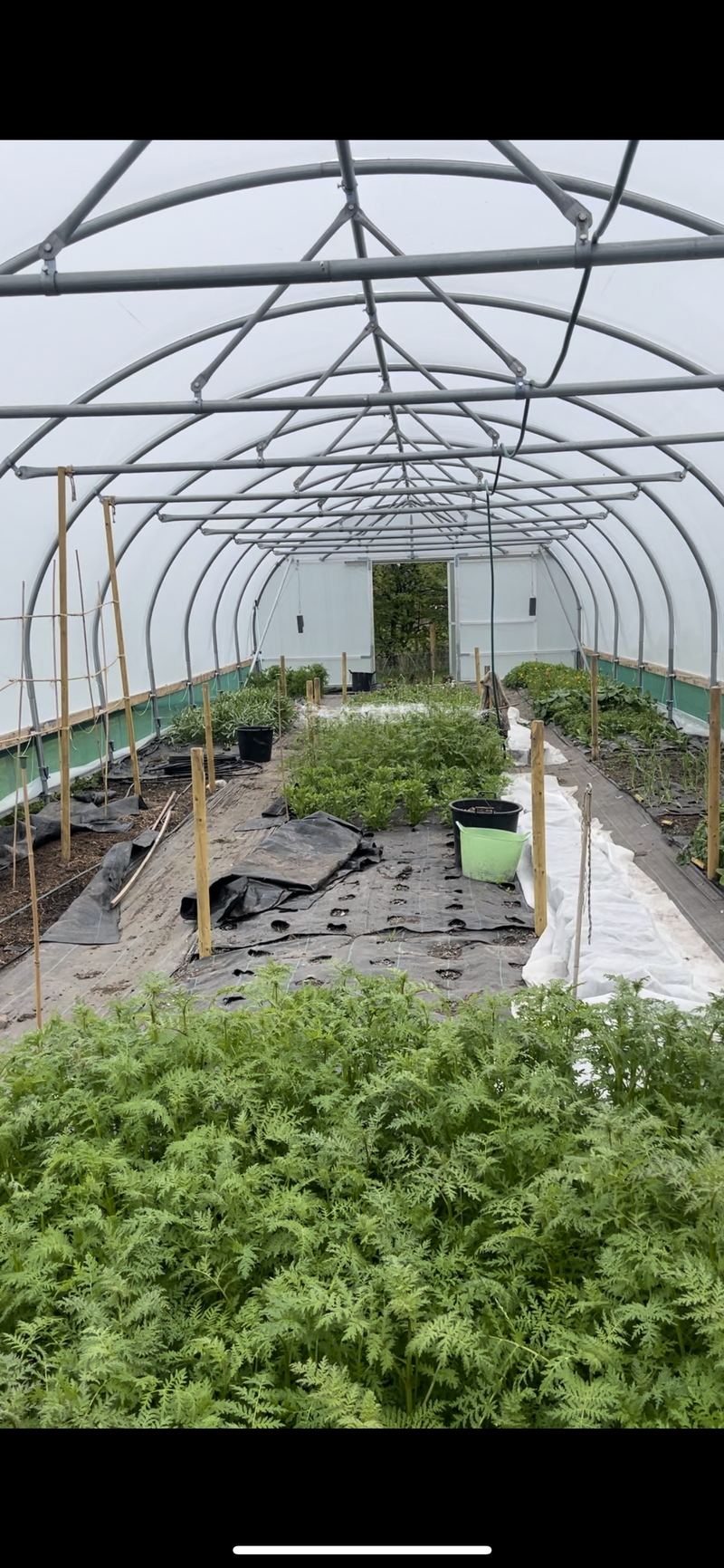 working with our farmers