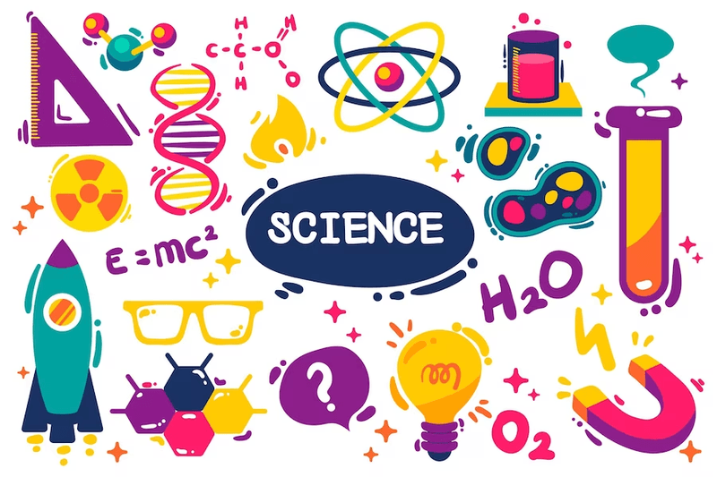 Steps to Create a Science Learning Curriculum for Grade 5