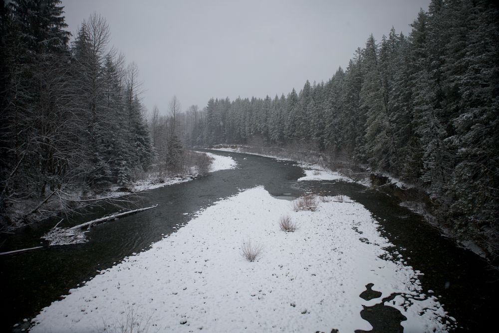 image 16
