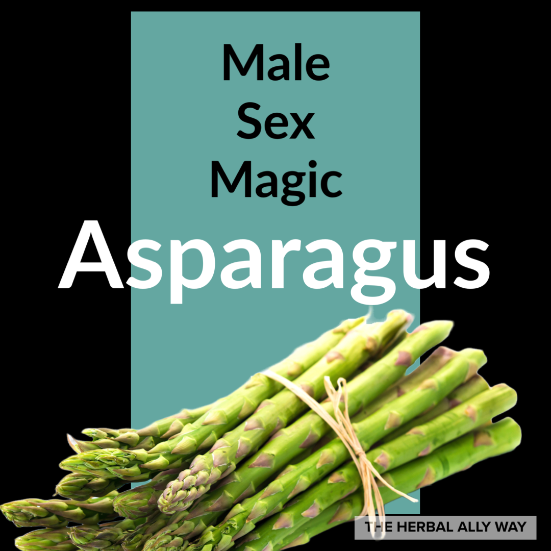 Making Magic With Food Asparagus — Jim Sayers Buymeacoffee 1744
