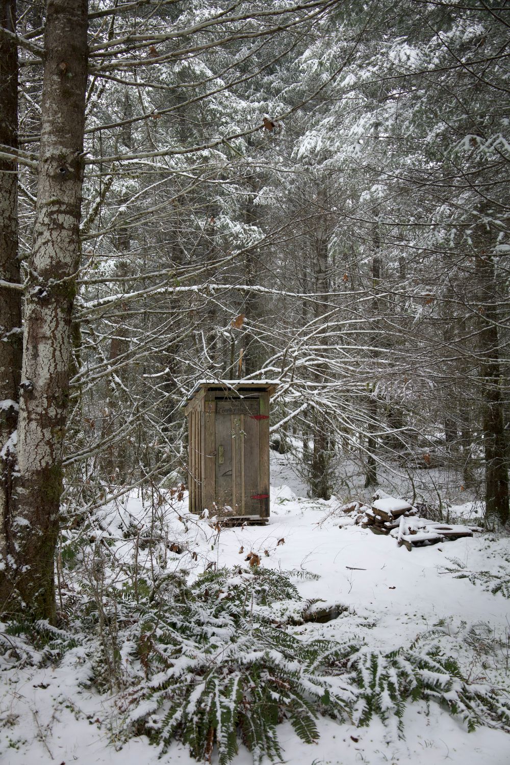 image 14