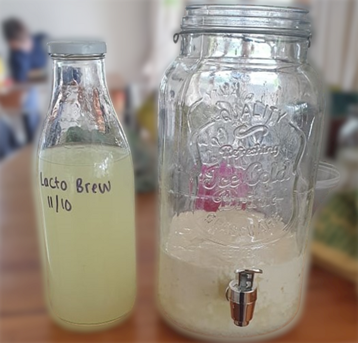 DIY Lactobacillus Plant Fertiliser Info Sheets