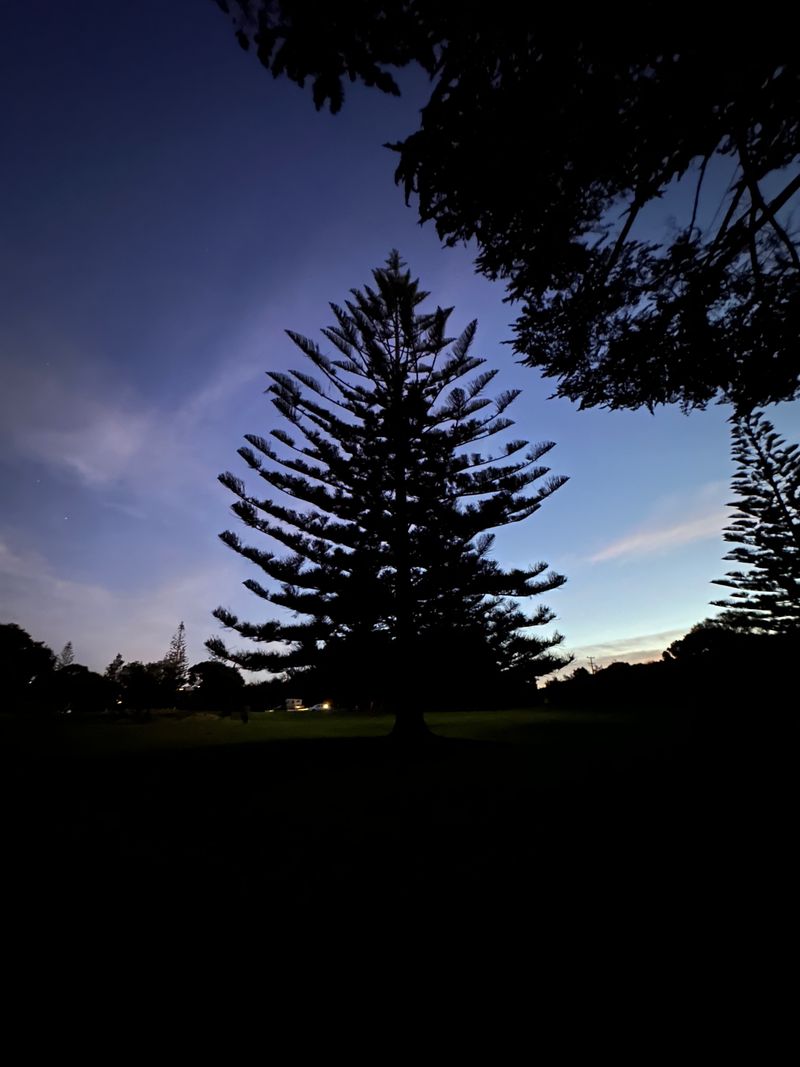 Silhouettes