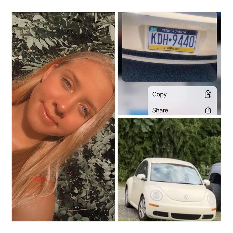 Chloe Stein Hoax