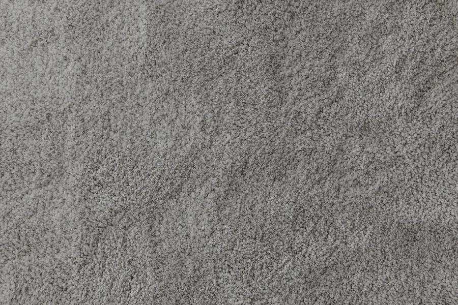 Discover Toledo Carpet Cleaning Company — Steamex