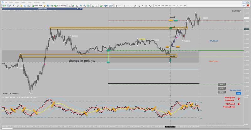 Polarity Shifts in Forex Trading