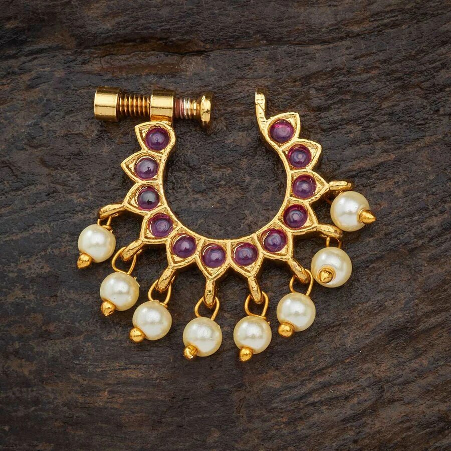 Different Types of Nose Rings A Comprehensive Style Guide — Dev