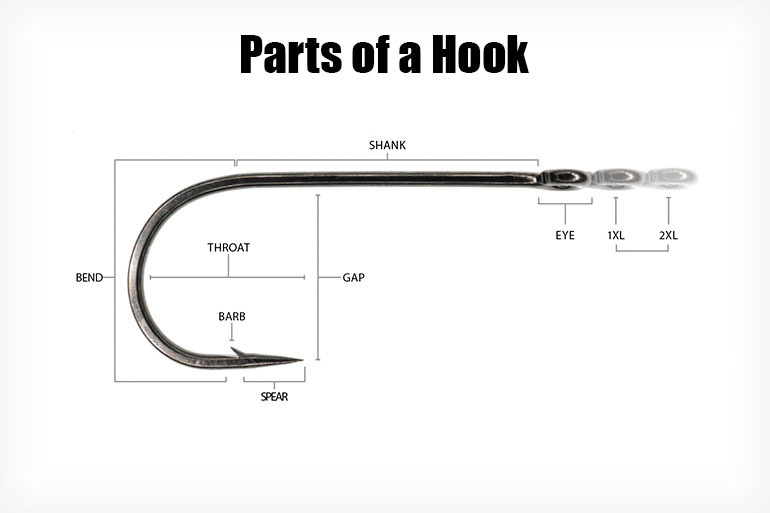 Hook and eyes / Components