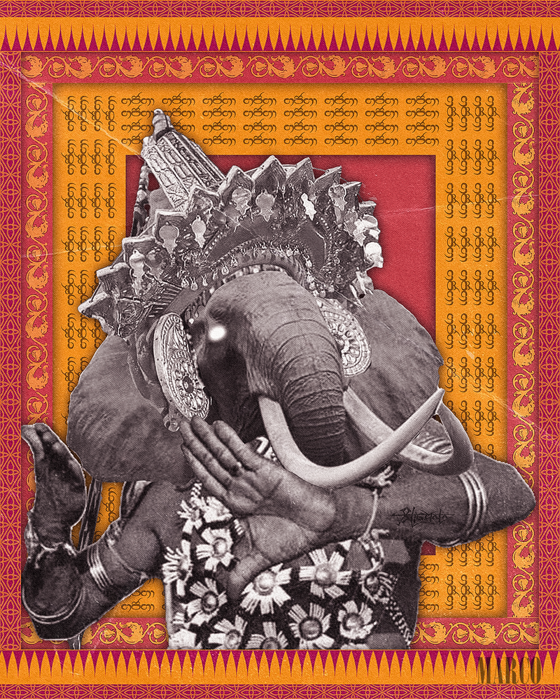 The enchanting roar of Gajaga