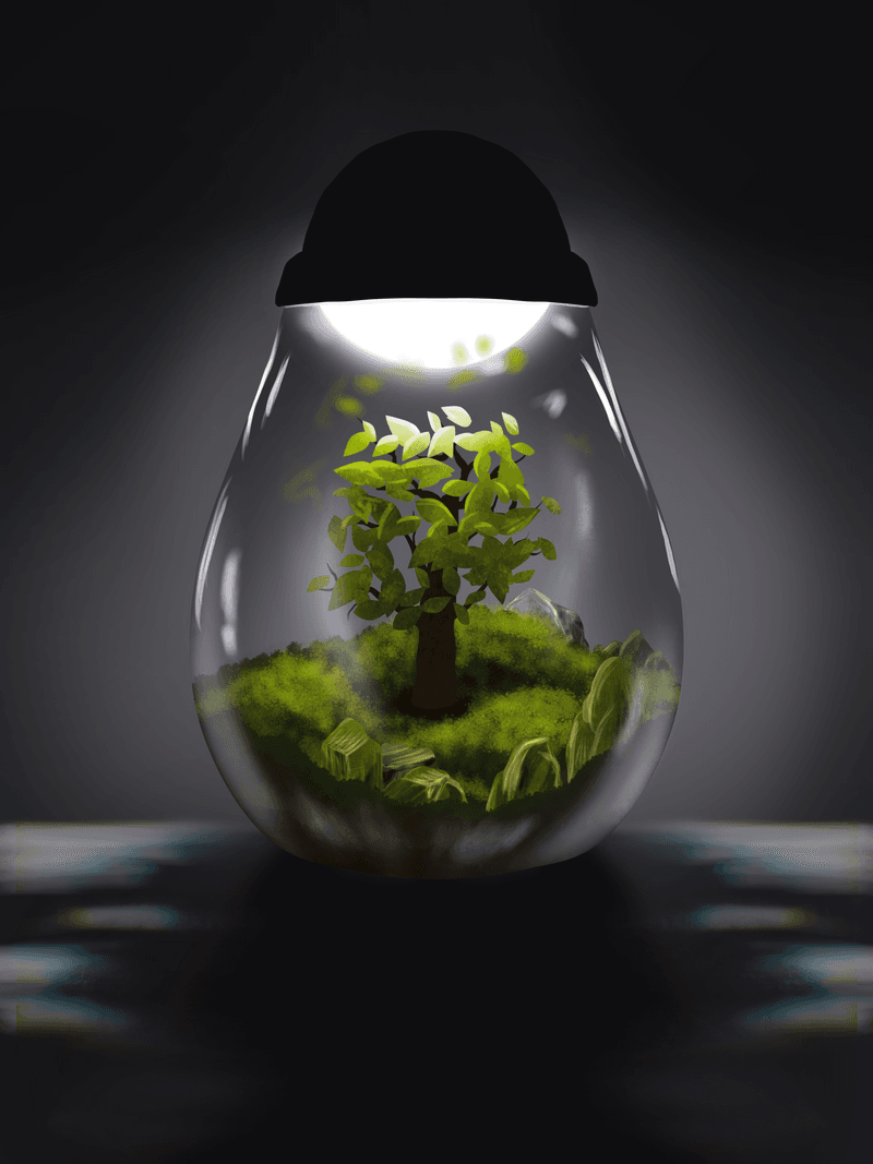 The Art of Bonsai and the Mindset of a Product Designer: Cultivating Creativity and Attent