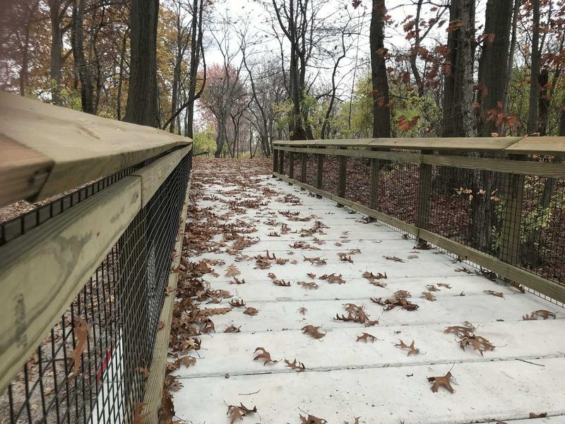 Appropriate place for the best Boardwalk Concrete | Terratread.com