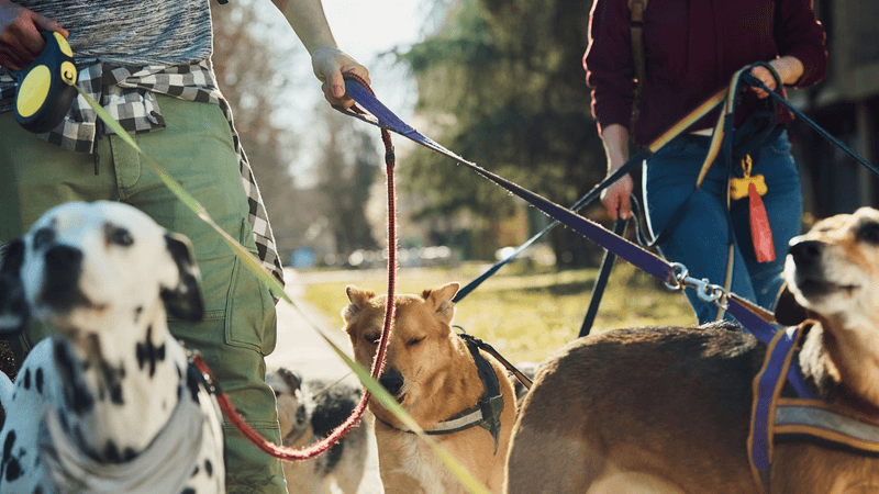 The makings of a good side hustle
