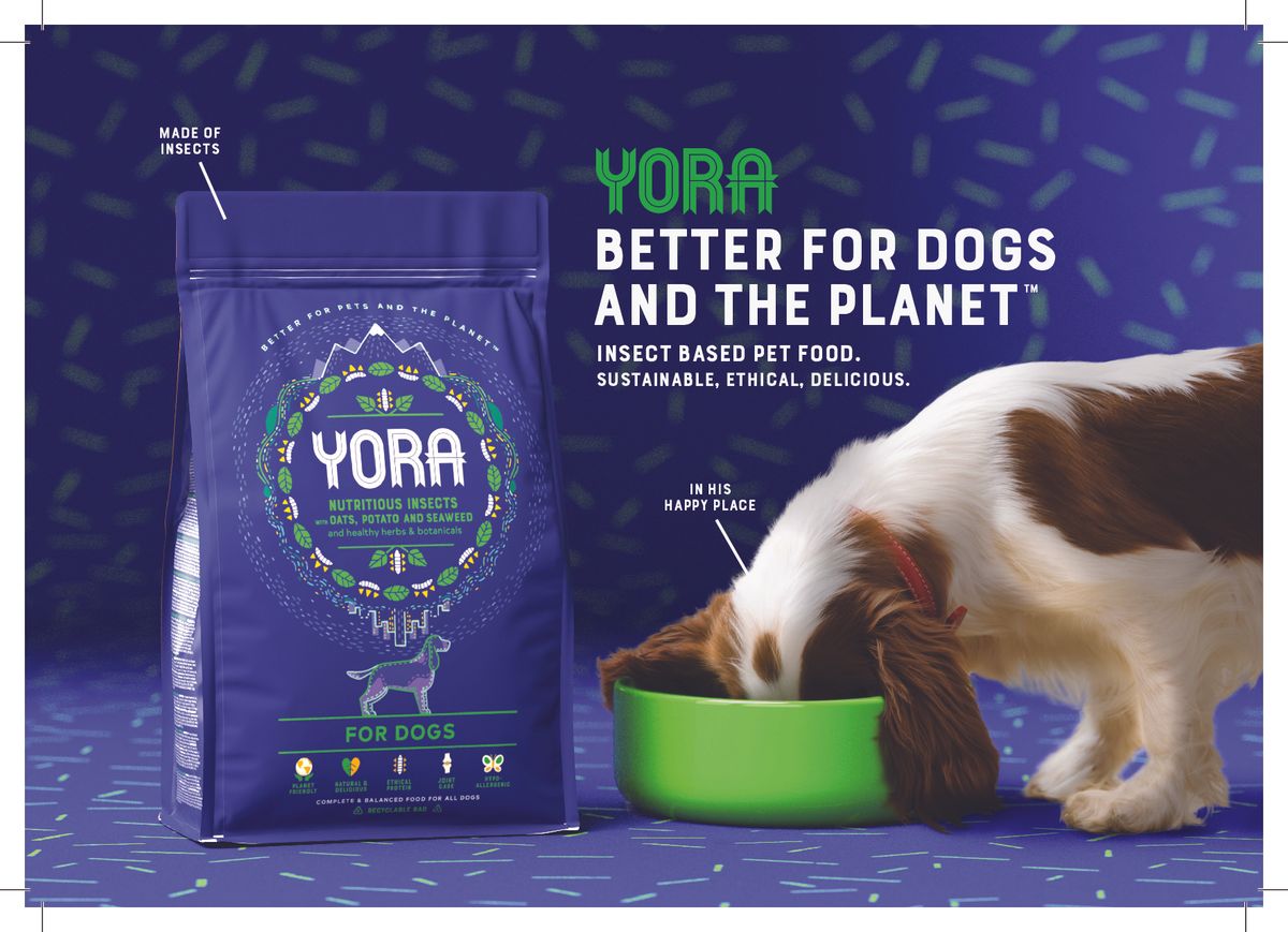 Tom Neish Yora Pet Food — Dog Desk Animal Action Buymeacoffee
