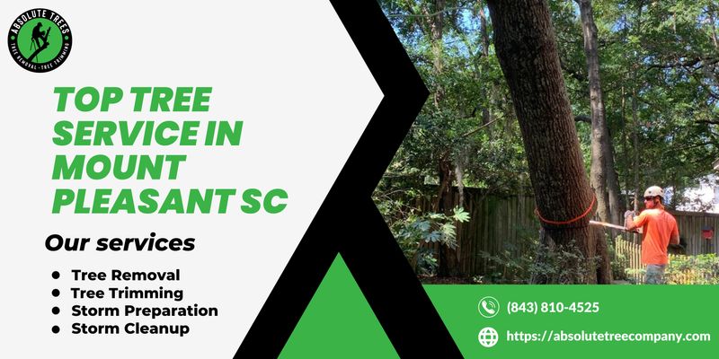 Top Tree Service in Mount Pleasant, SC