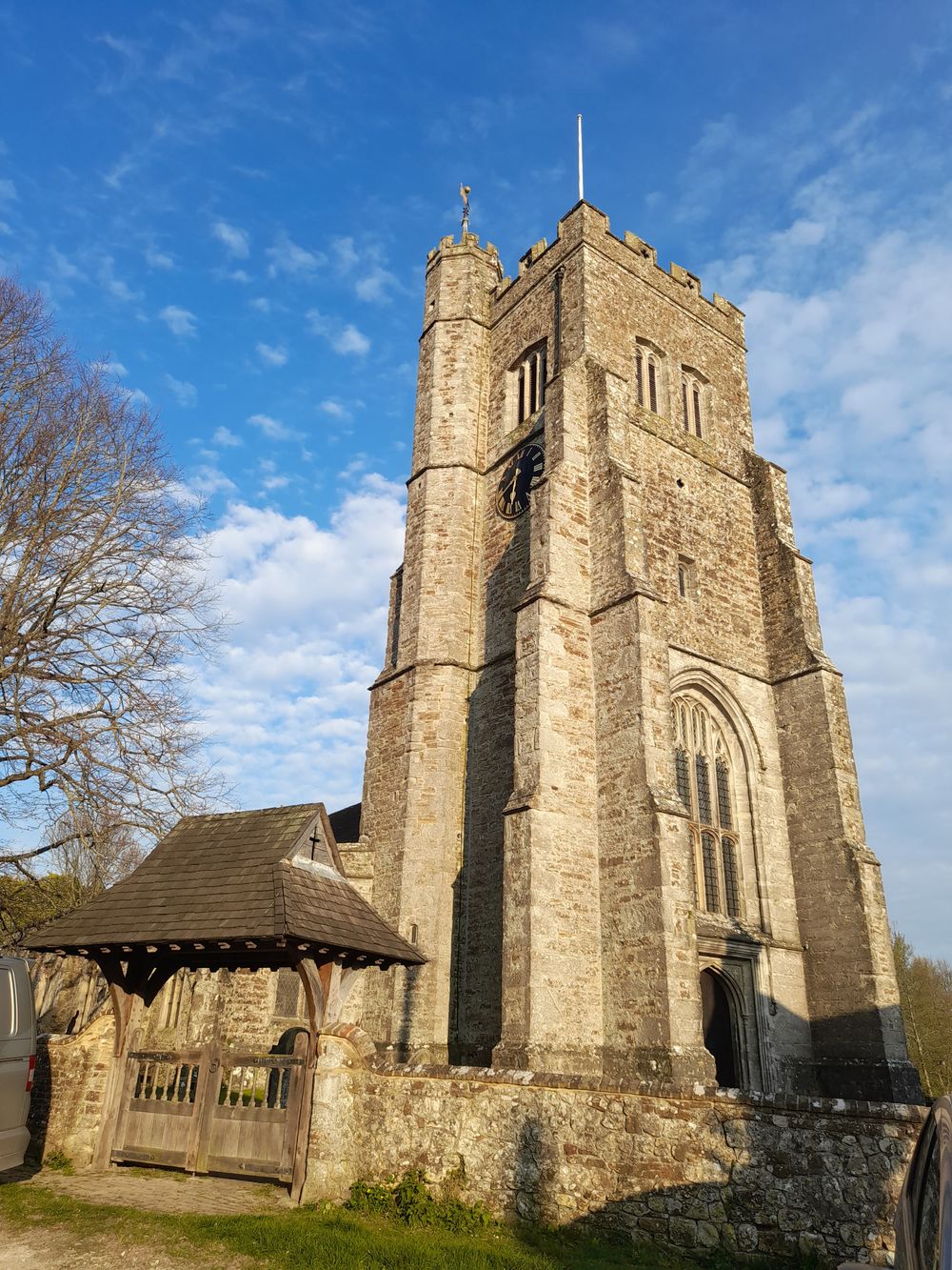 image 21