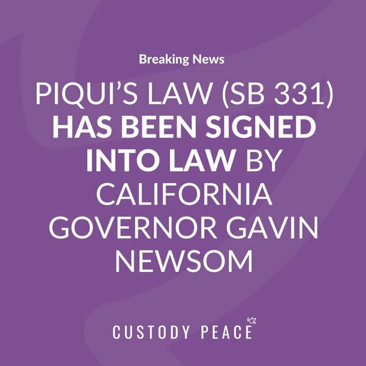 California Governor Gavin Newsom Signs Piqui's Law — custodypeace