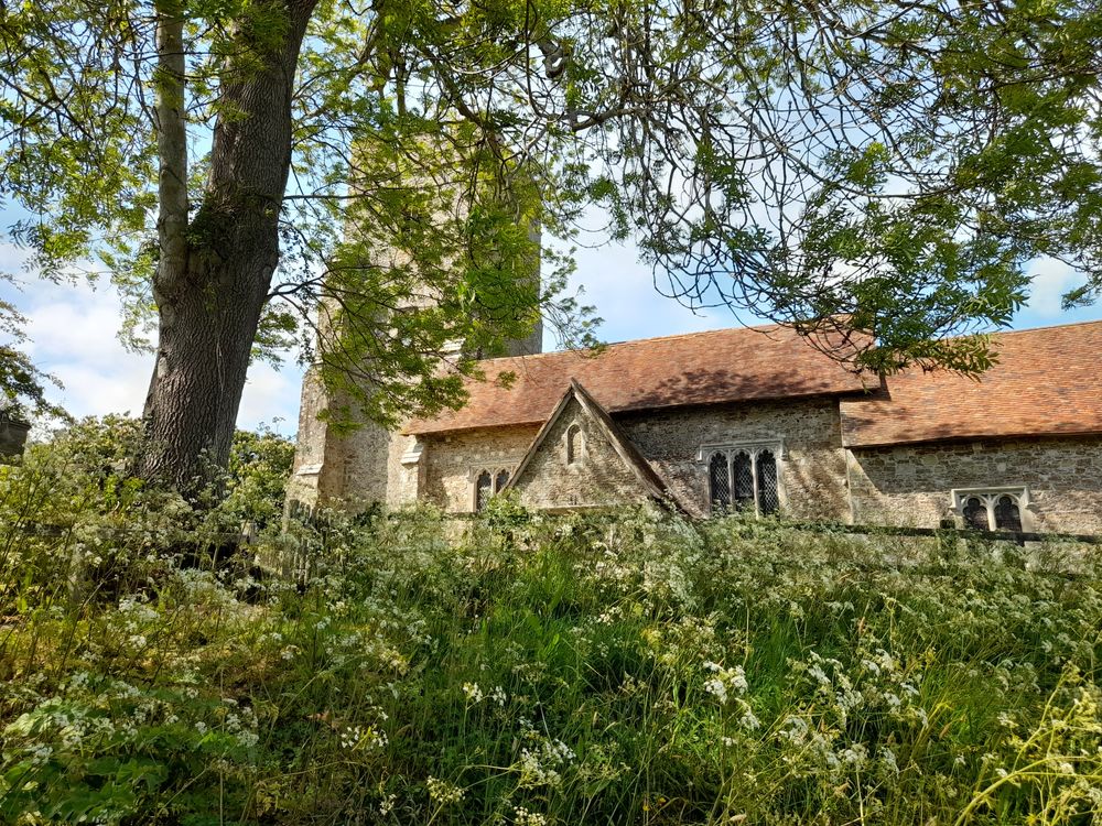 image 34