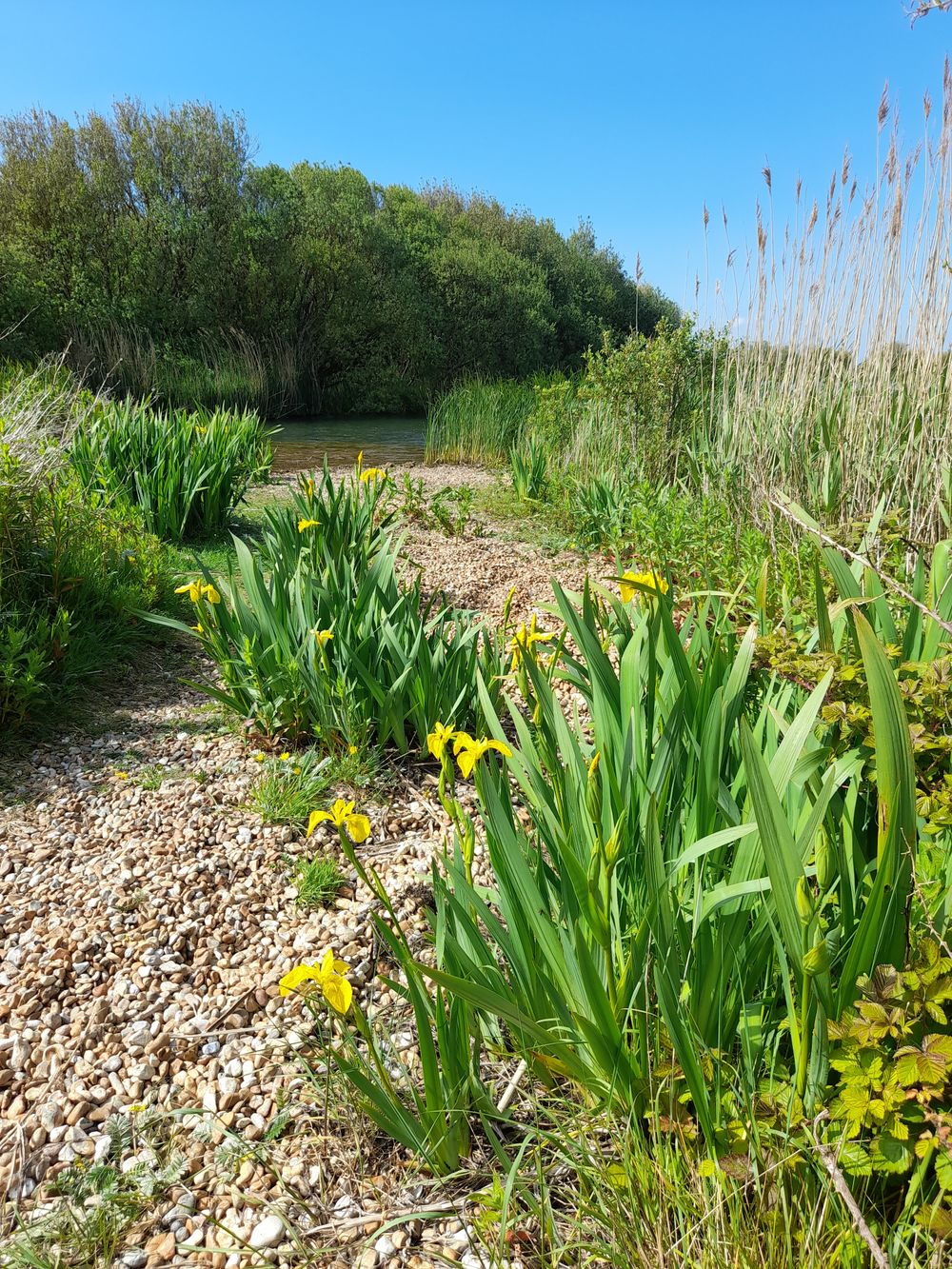 image 28