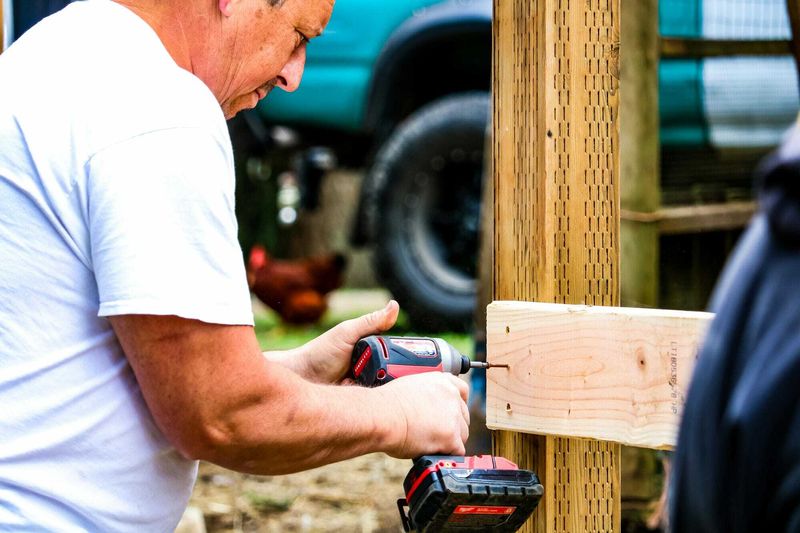 Restoring Structural Integrity: The Importance of Dry Rot Repair Services