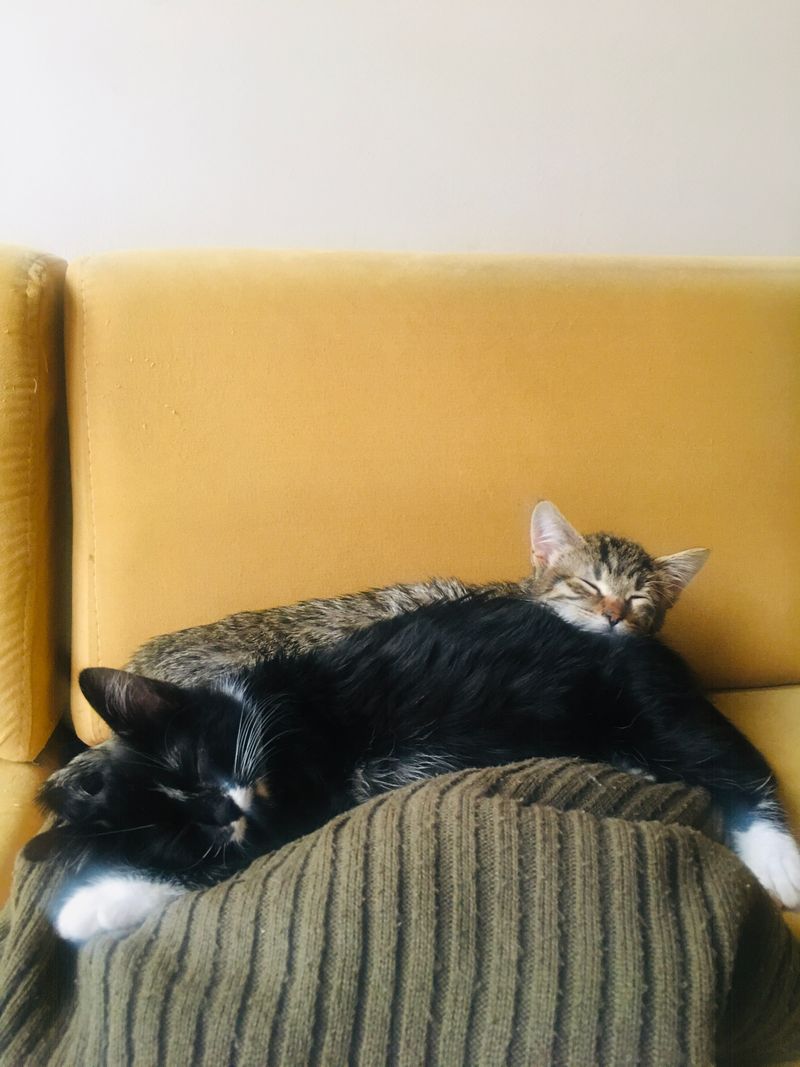 😴😴😴