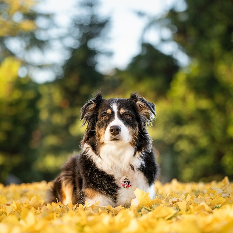 Autumn in Seattle