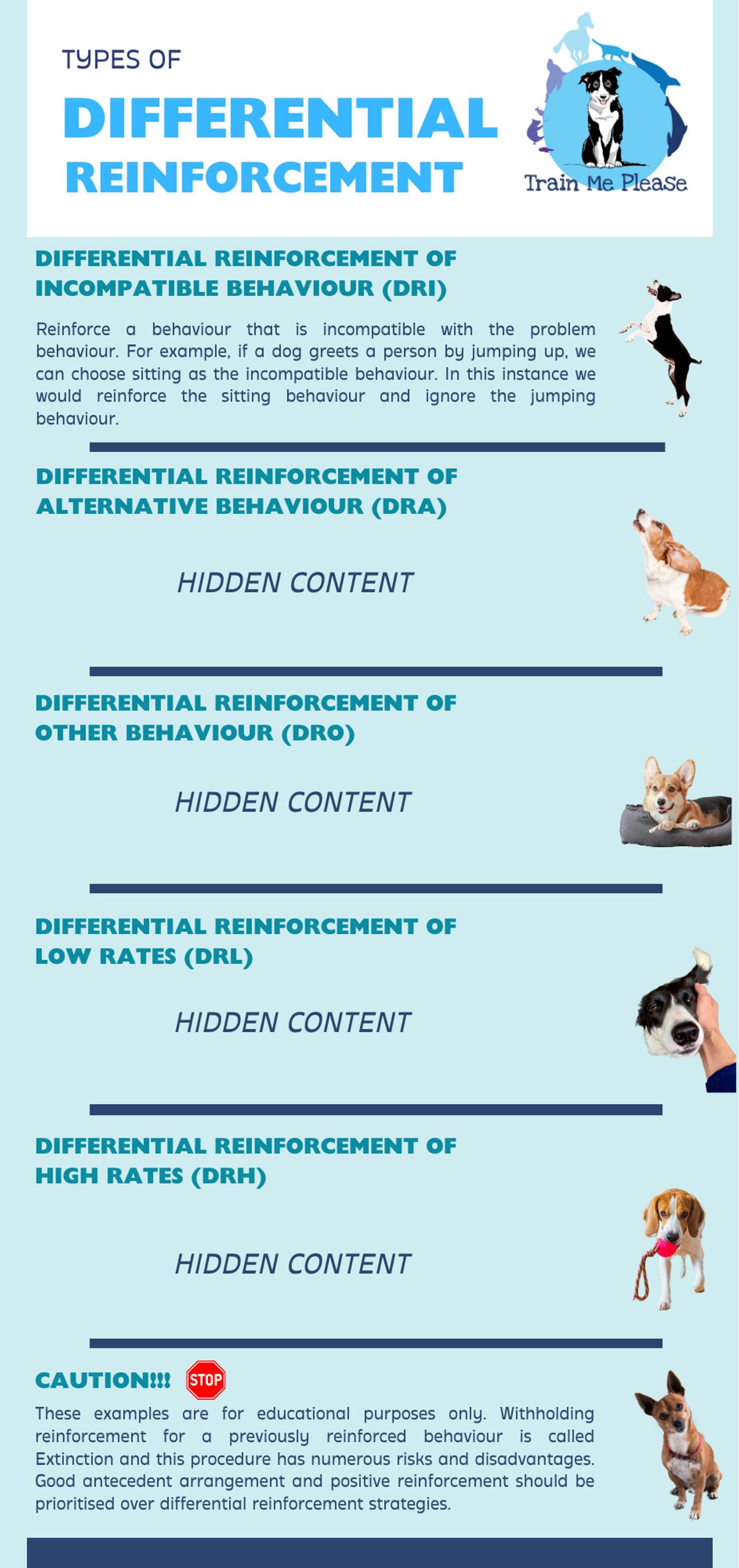 Differential Reinforcement Strategies — Train Me Please Buymeacoffee