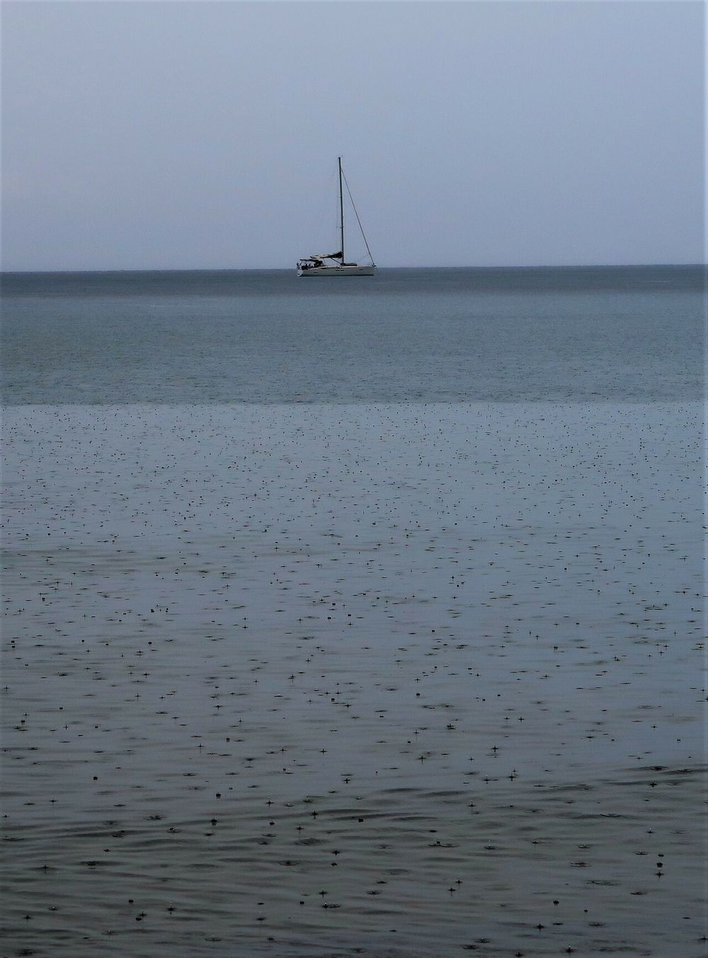 image 56