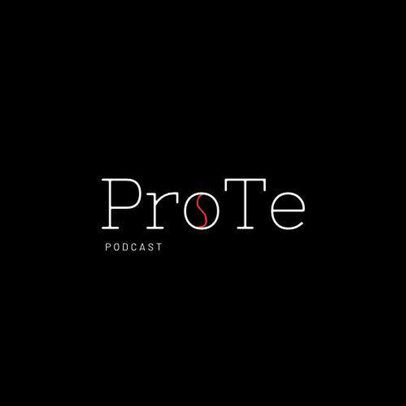Знайомство з ProTe