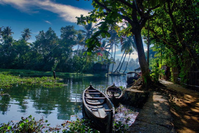 The Ultimate Guide to Attending a Tailored Tour