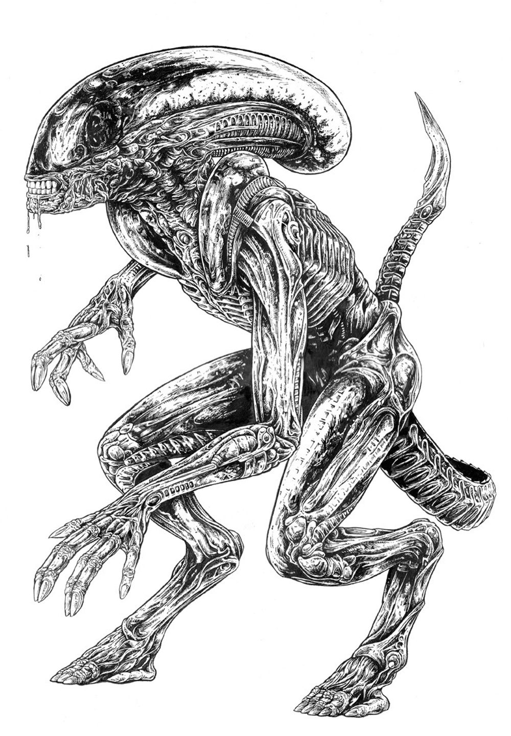 image 38