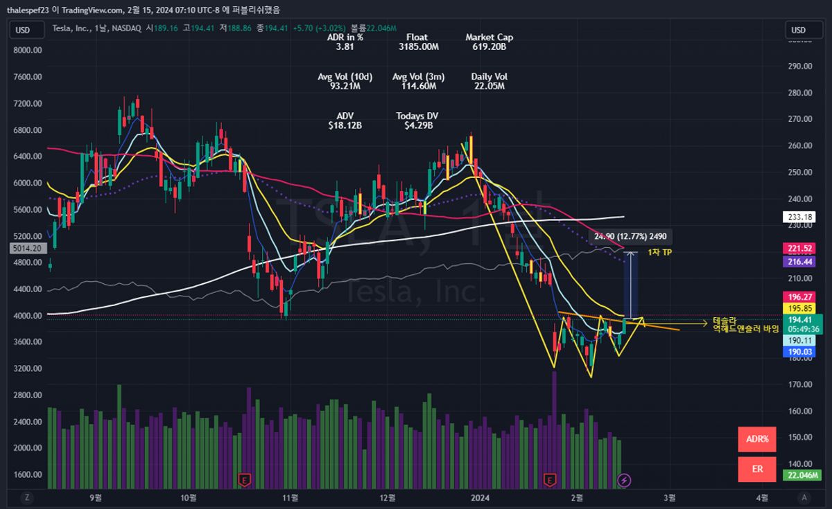 테슬라 역헤드앤숄더 바잉 시도해 보세요! — Thales