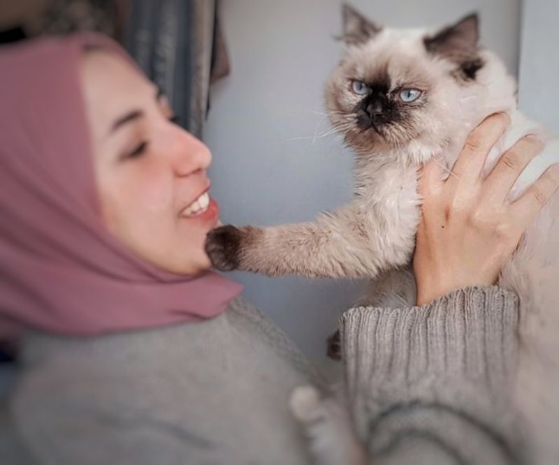 Even my kitten, Fuksha, we can't provide her food, sand or vaccination
