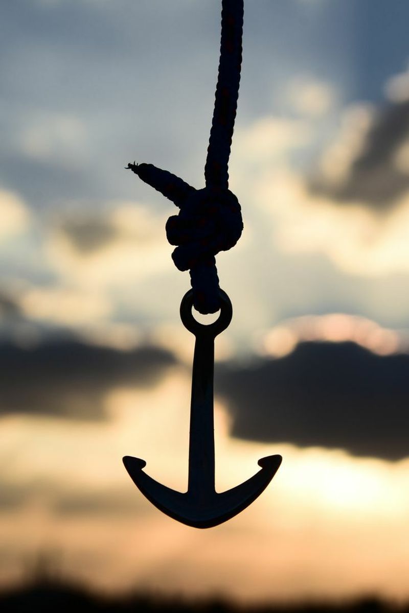 Learning to Find Your New Anchor