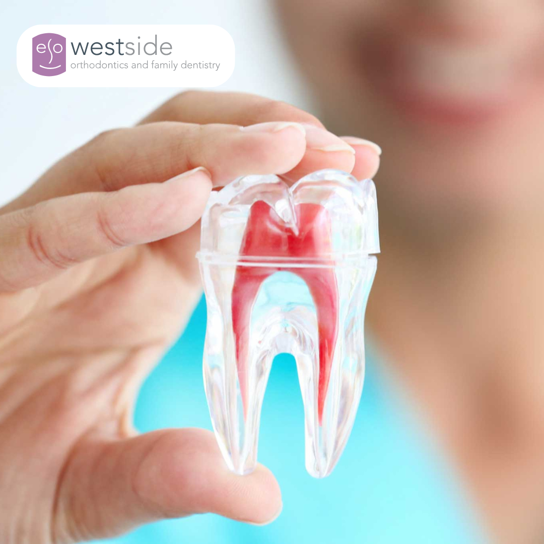 Enhance Your Smile with Leading Cosmetic Dentistry in Davie and Weston