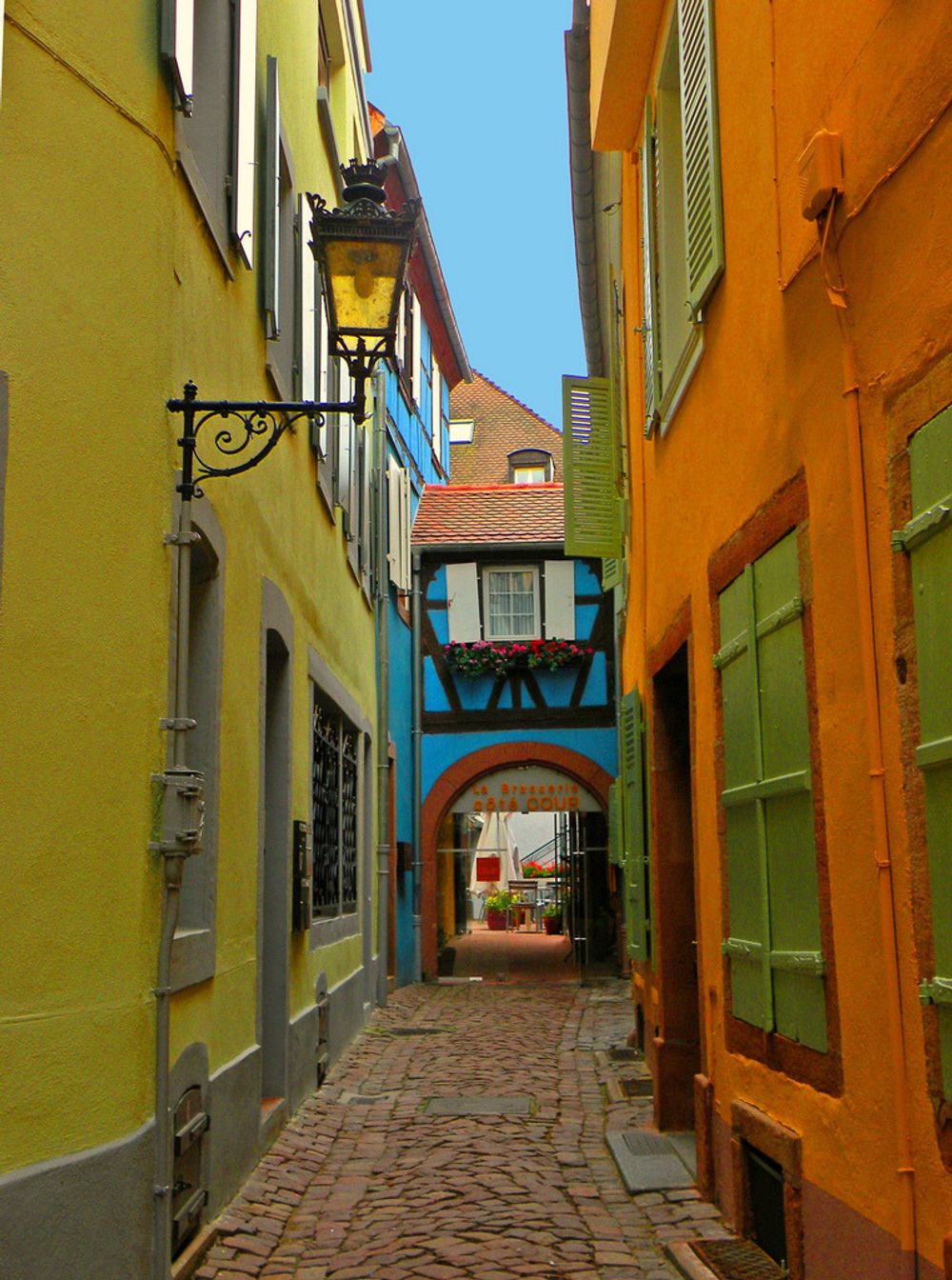 image 19