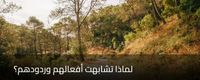 لماذا تشابهت أفعالهم وردودهم؟