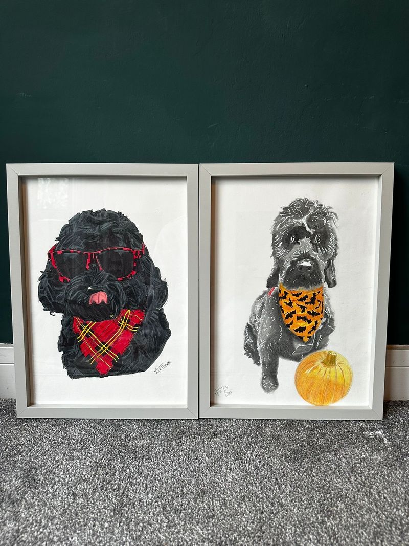 Pet portraits