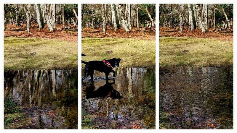 Walkies and music