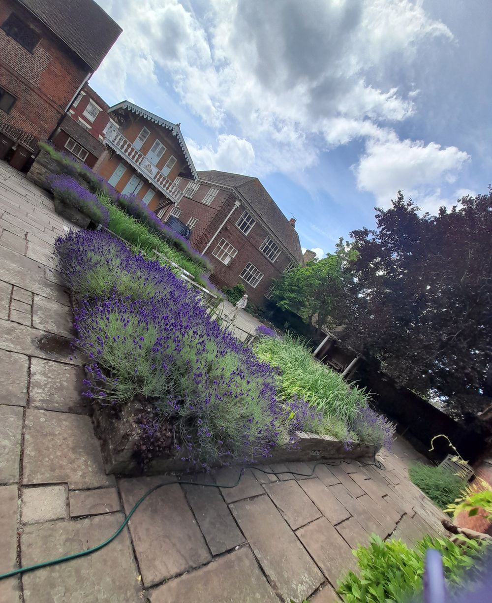 image 18